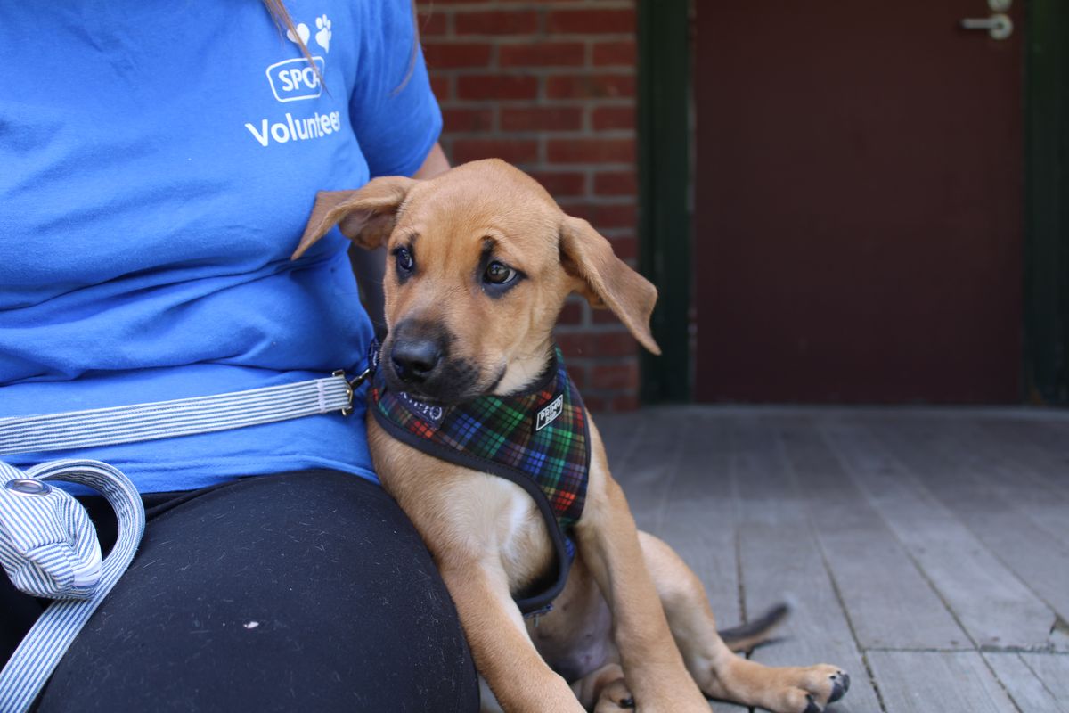 Gallery image: William