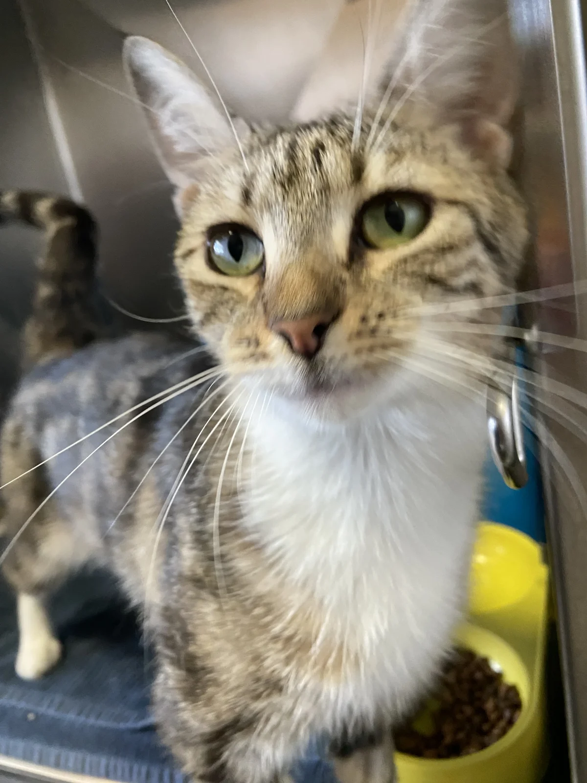 Gallery image: Nancy