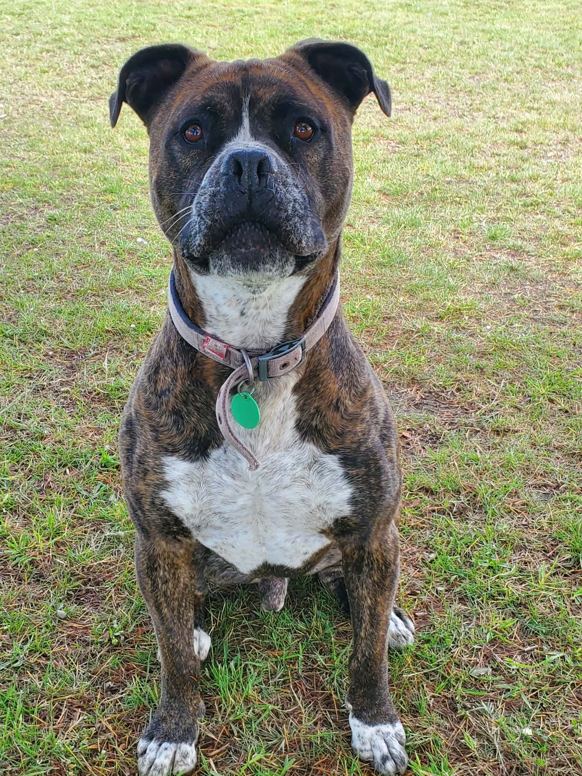 Gallery image: Arnie