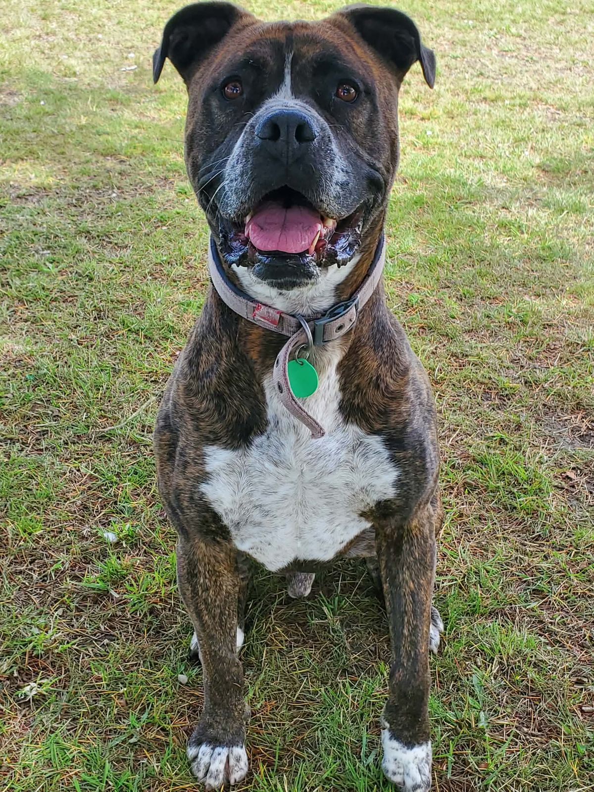 Gallery image: Arnie