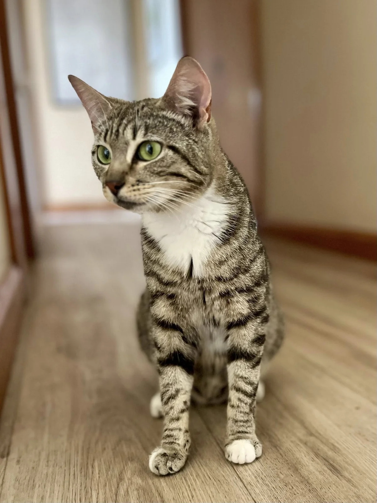 Gallery image: Penny