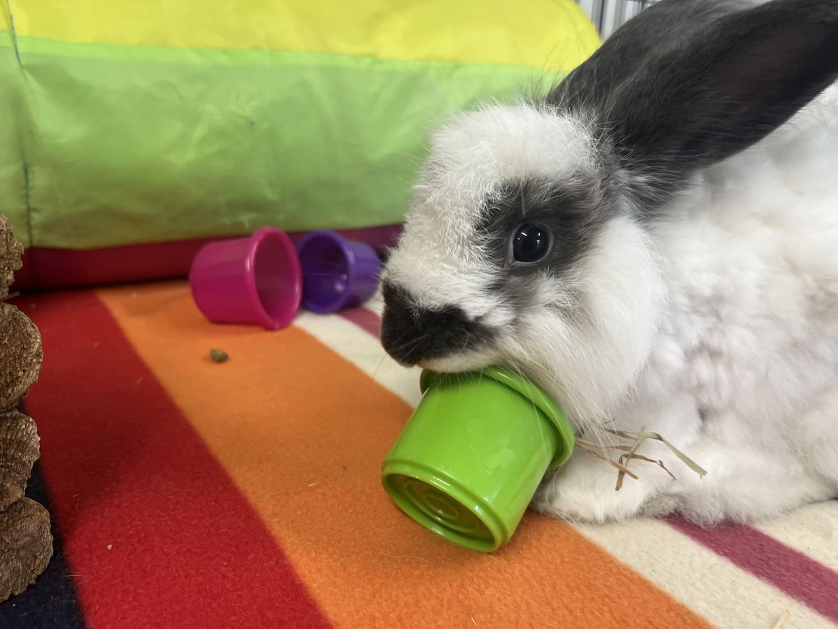 Gallery image: Hamish 