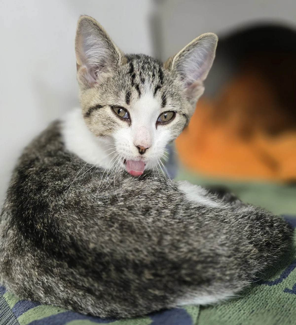 Gallery image: Billy