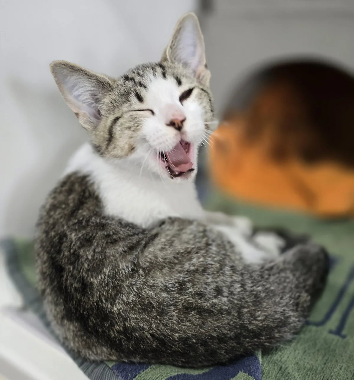 Gallery image: Billy