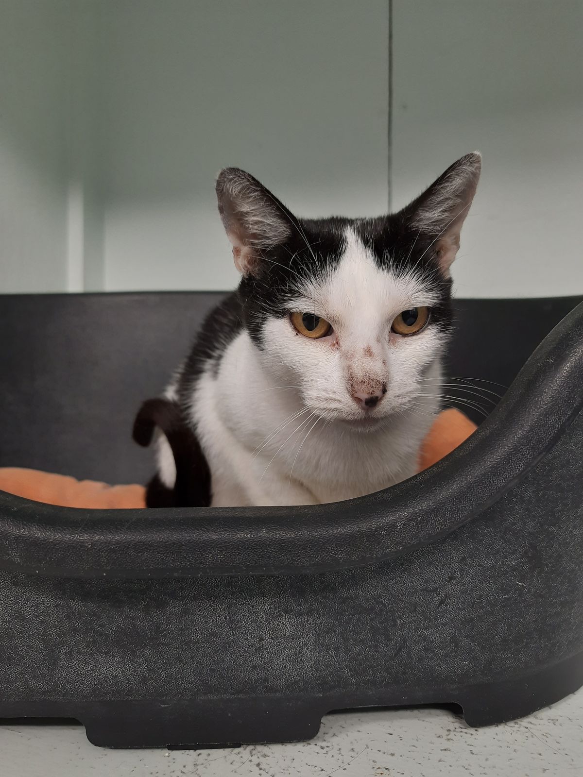 Gallery image: Frosty