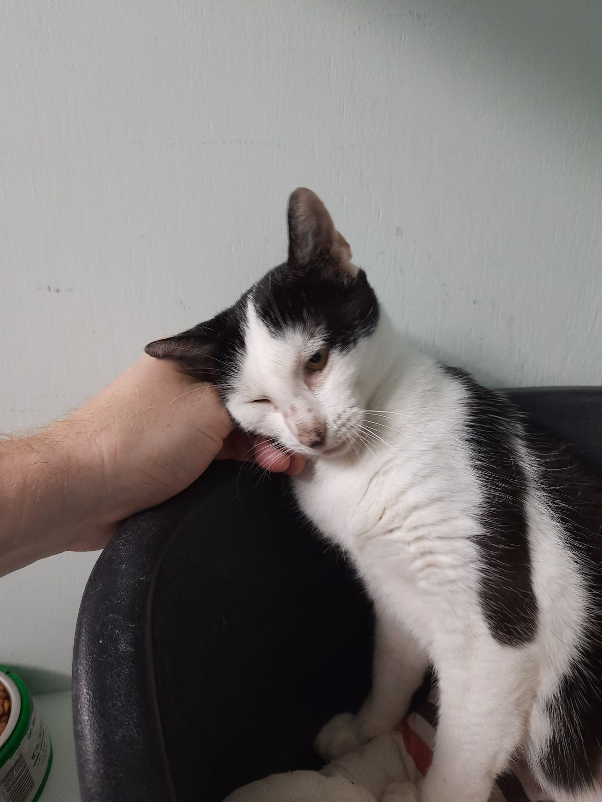 Gallery image: Frosty