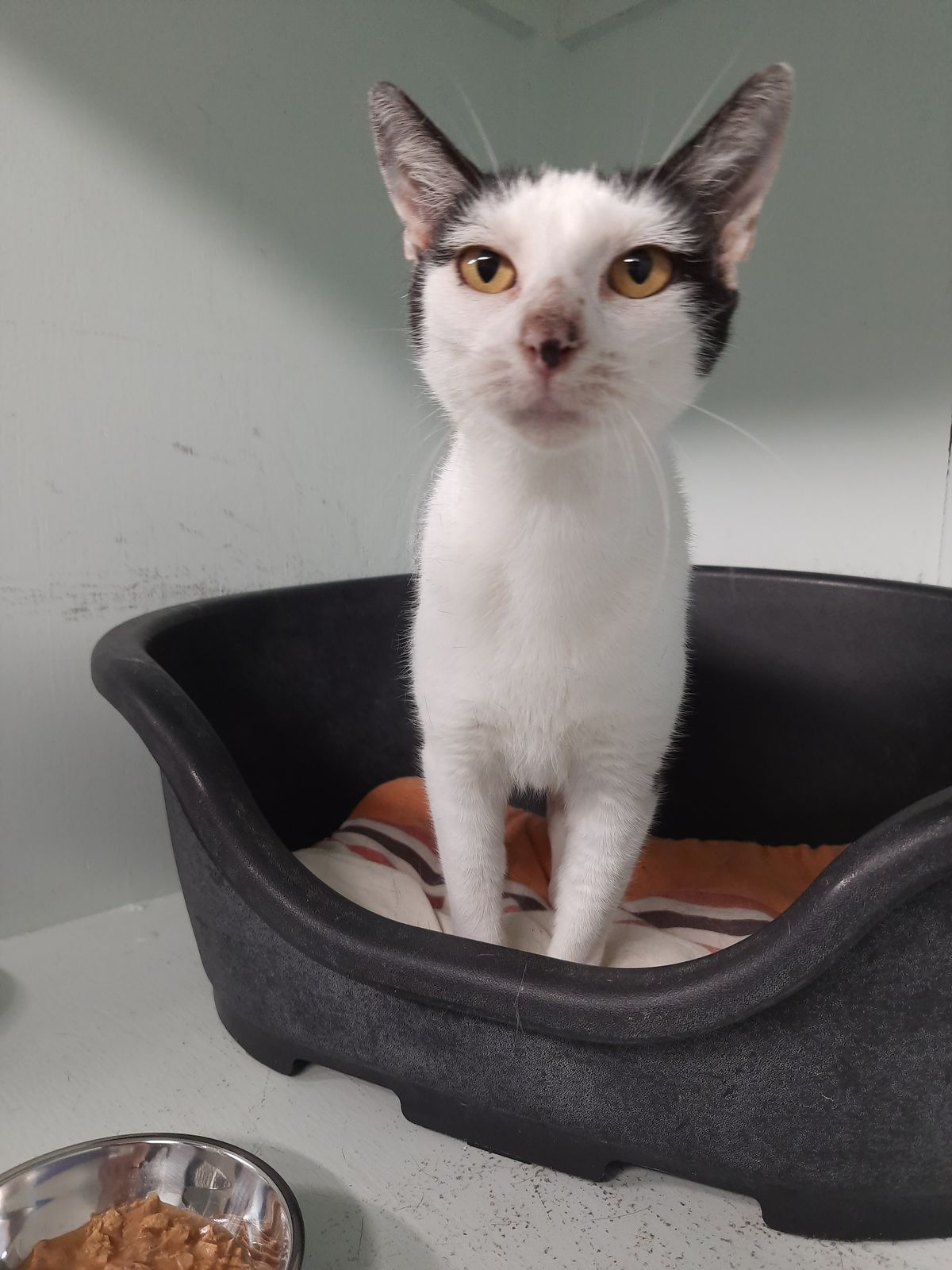 Gallery image: Frosty