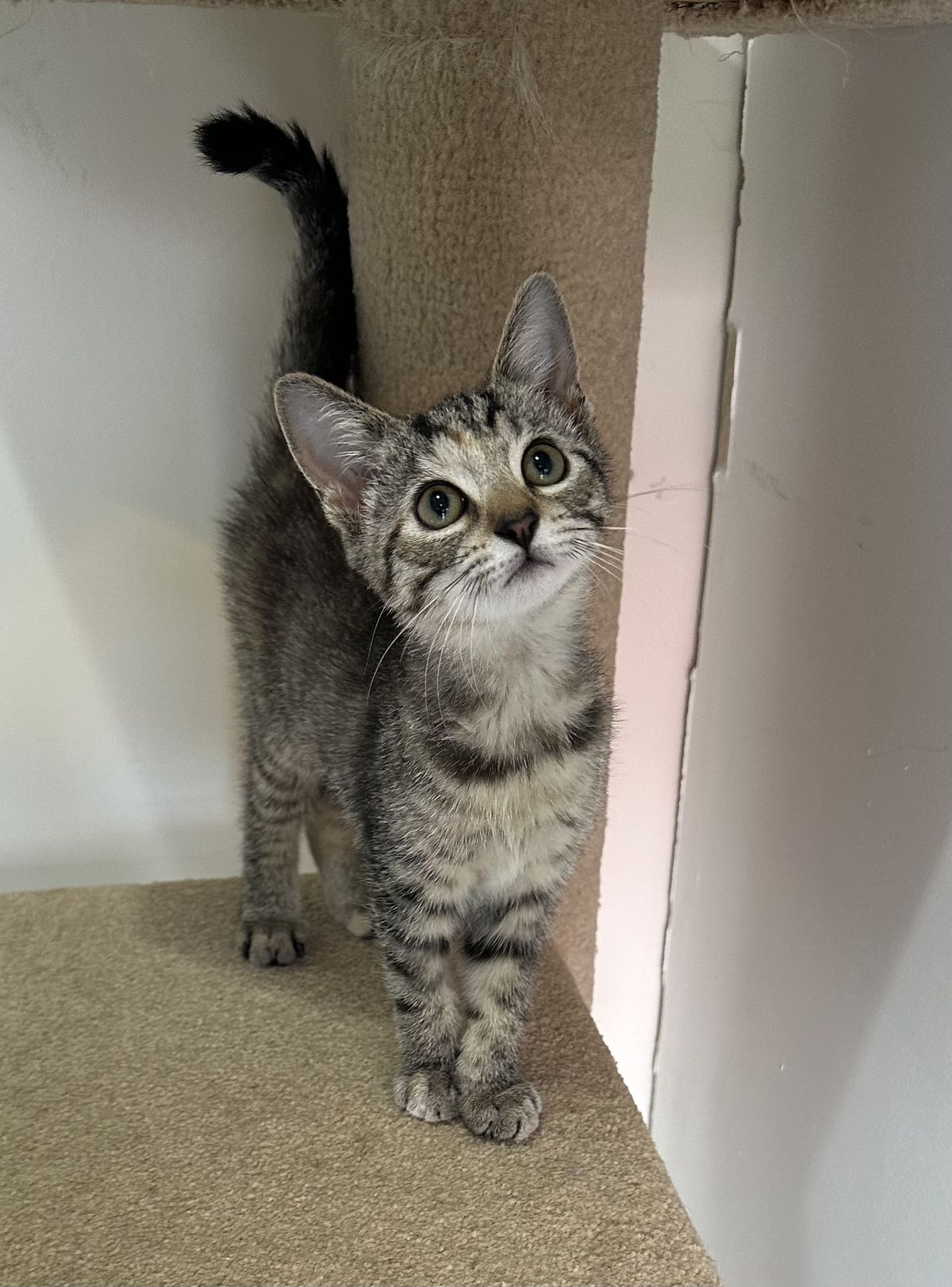 Gallery image: Hermoine Granger 