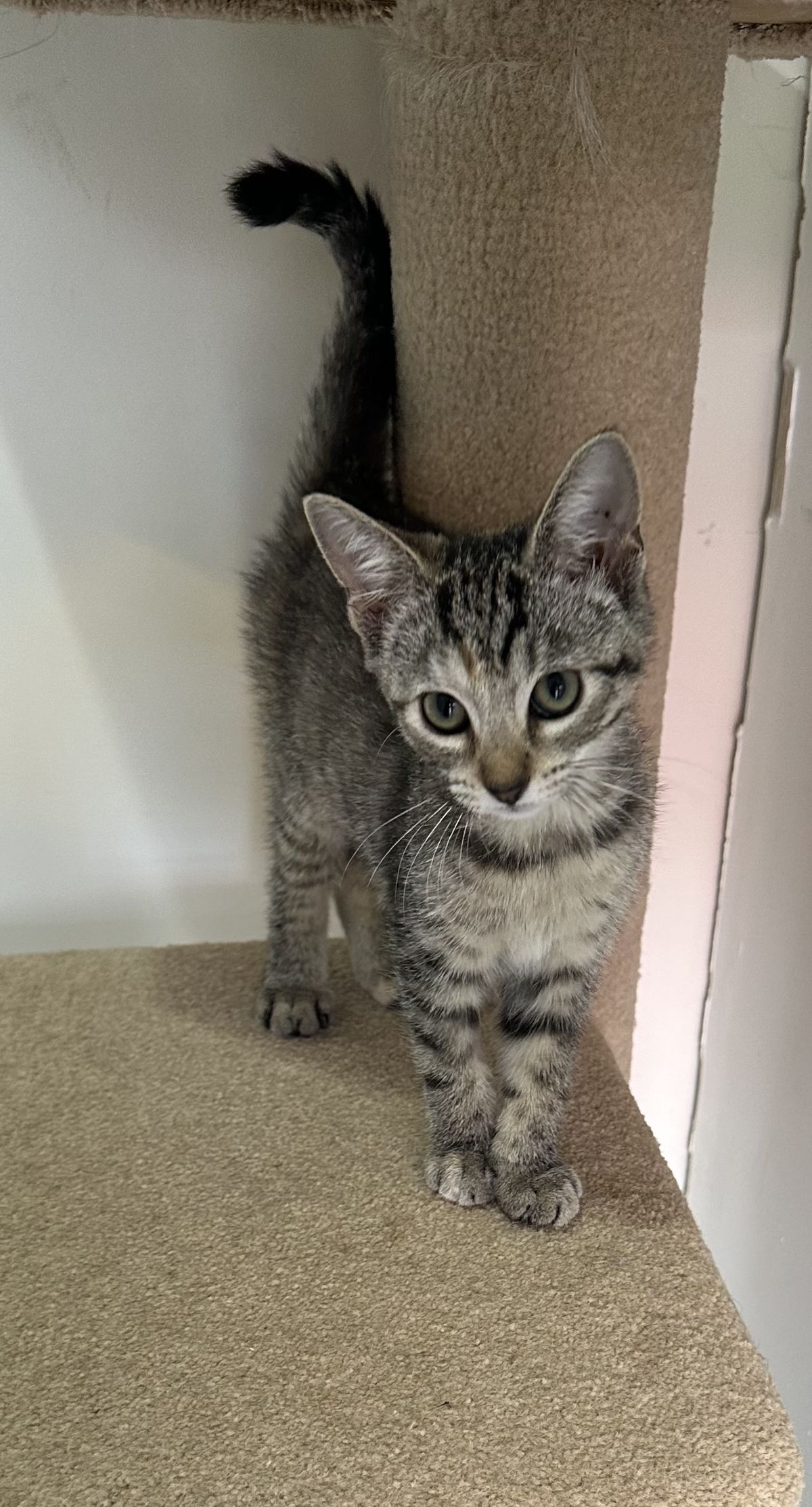 Gallery image: Hermoine Granger 