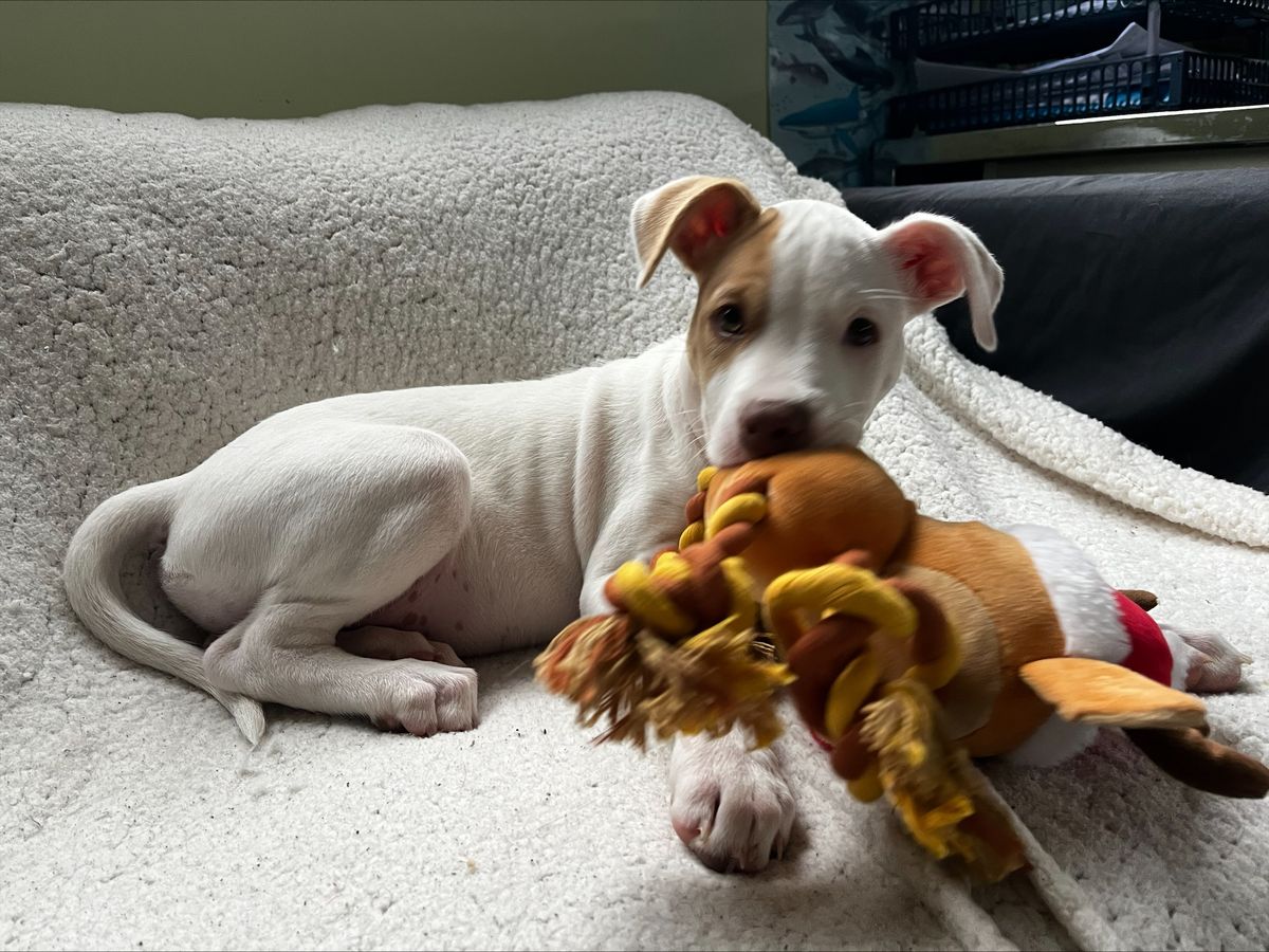 Gallery image: Radar