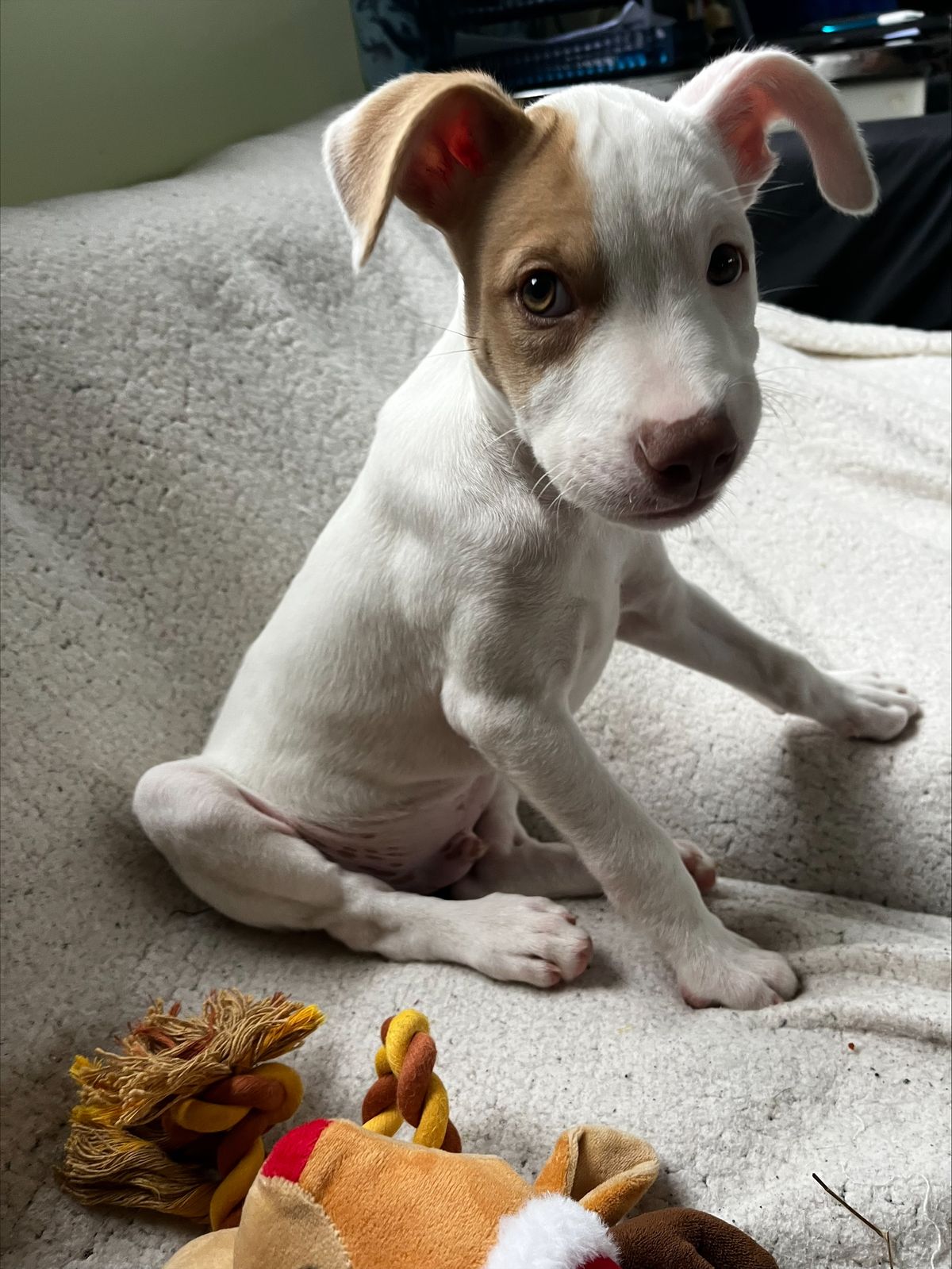 Gallery image: Radar