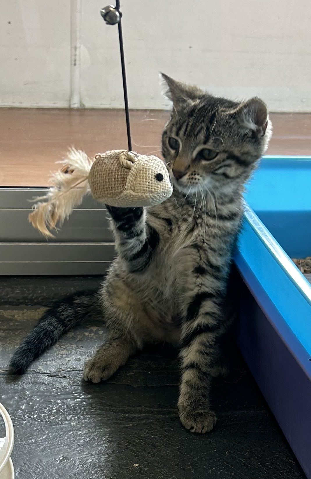 Gallery image: Summer