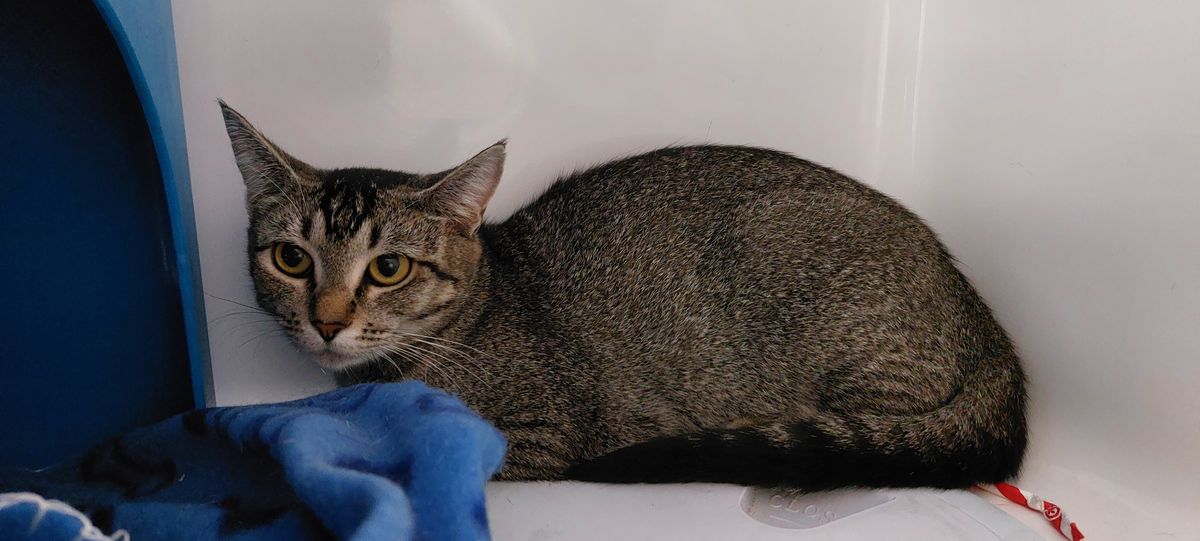 Gallery image: Marissa