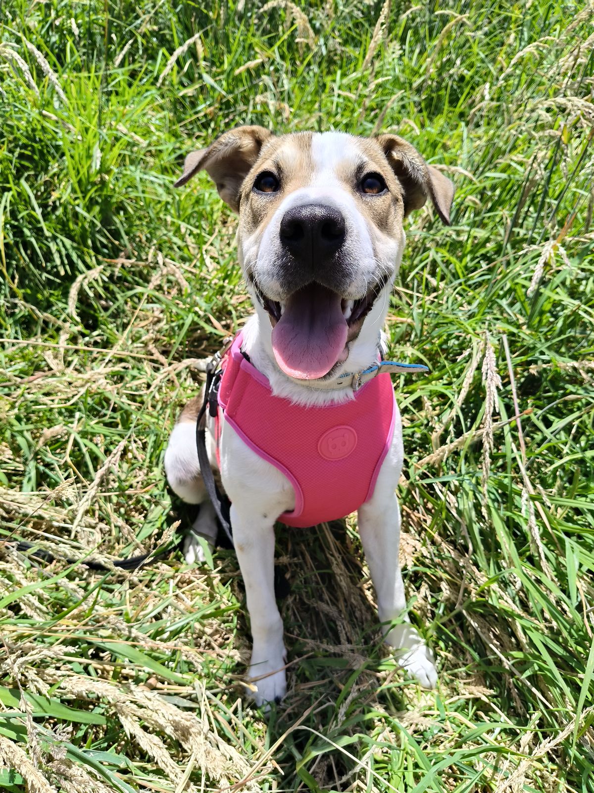 Gallery image: Sally