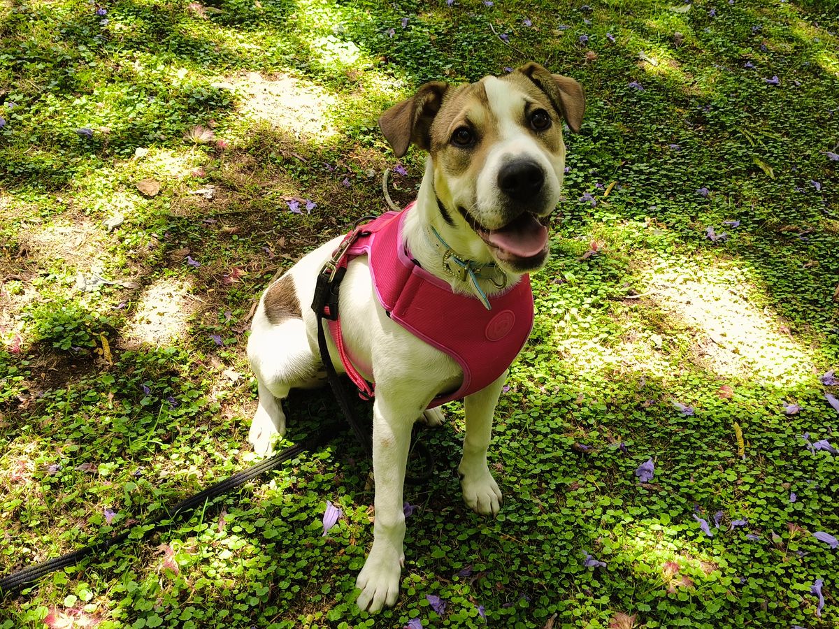 Gallery image: Sally