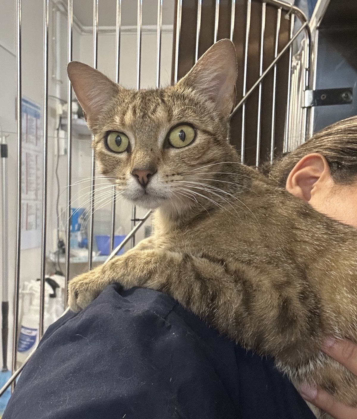 Gallery image: Beanie