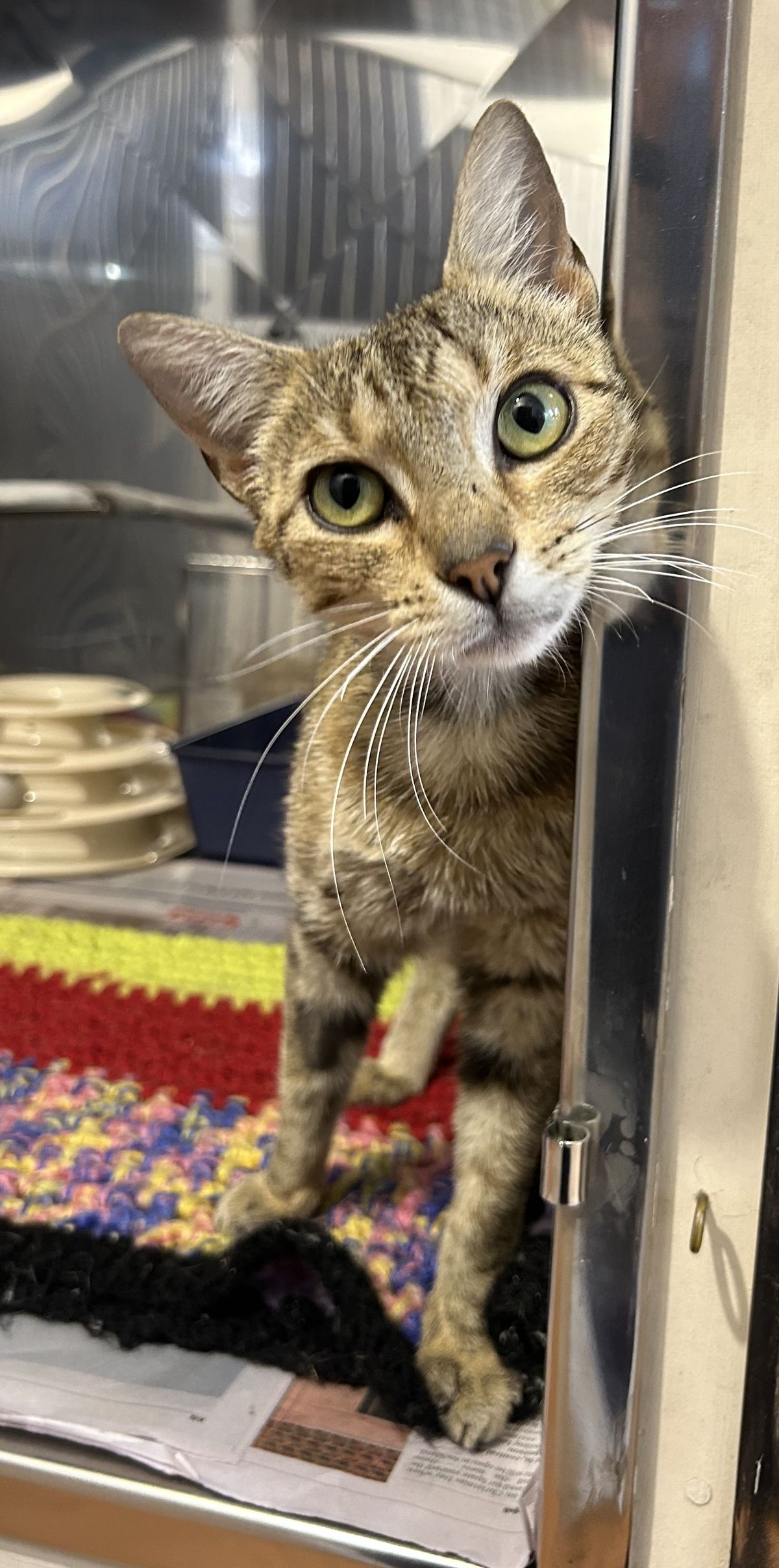 Gallery image: Beanie