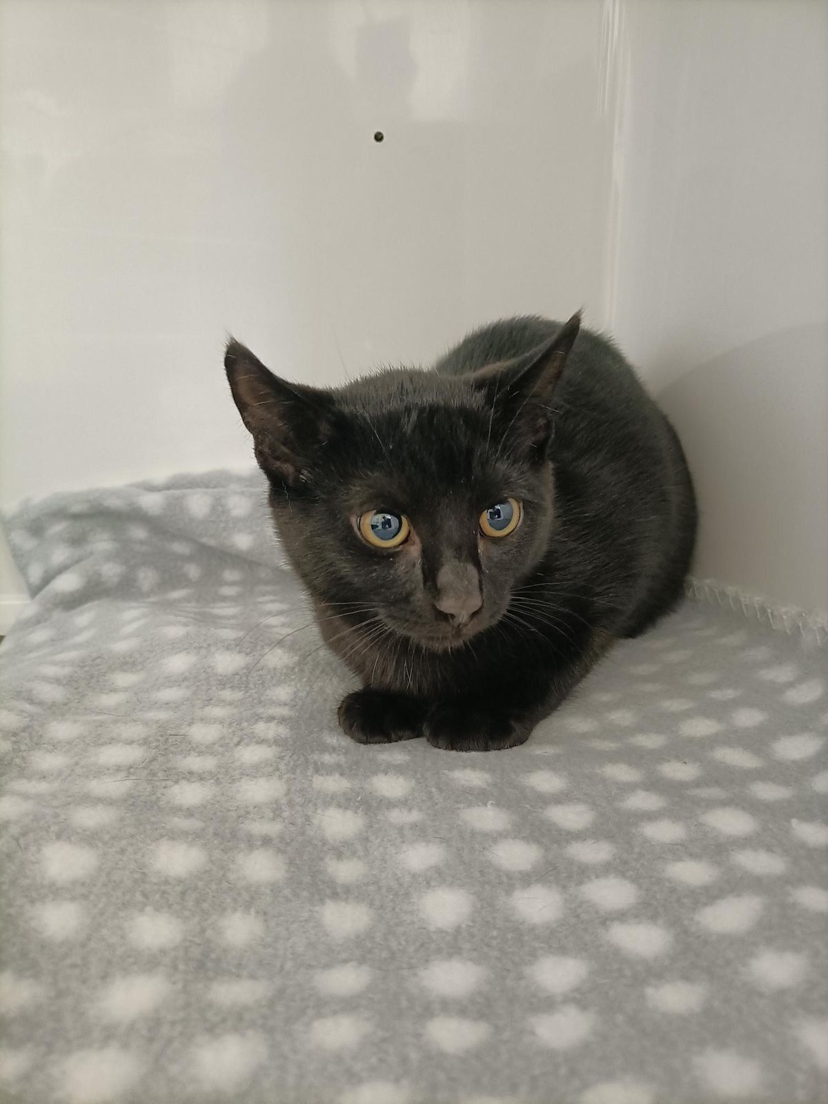 Gallery image: Toast