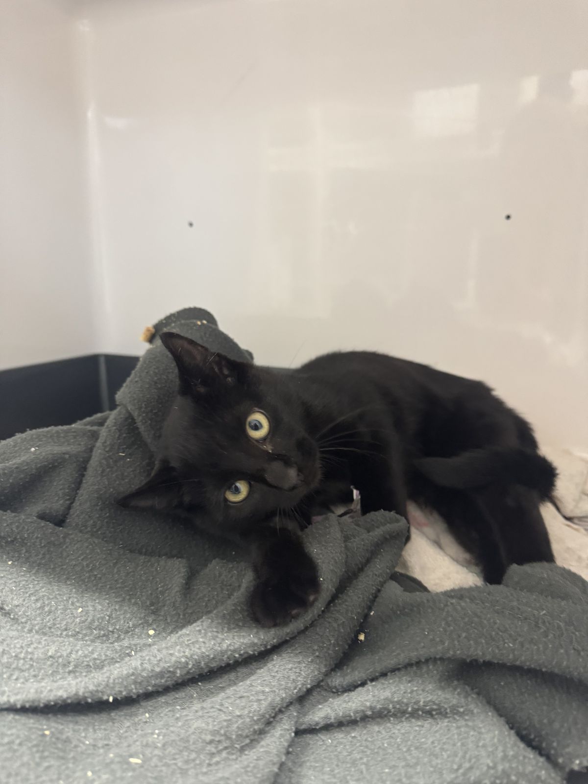 Gallery image: Toast