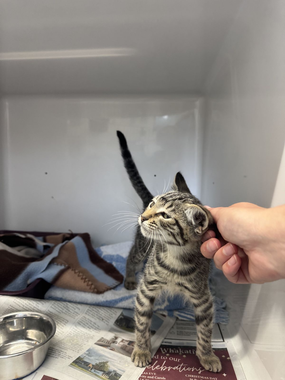 Gallery image: Molly