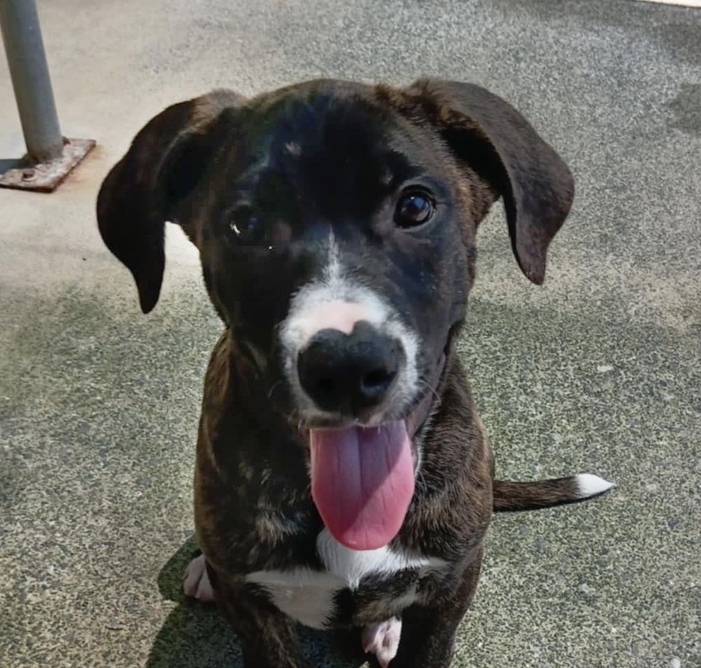 Gallery image: Scrooge