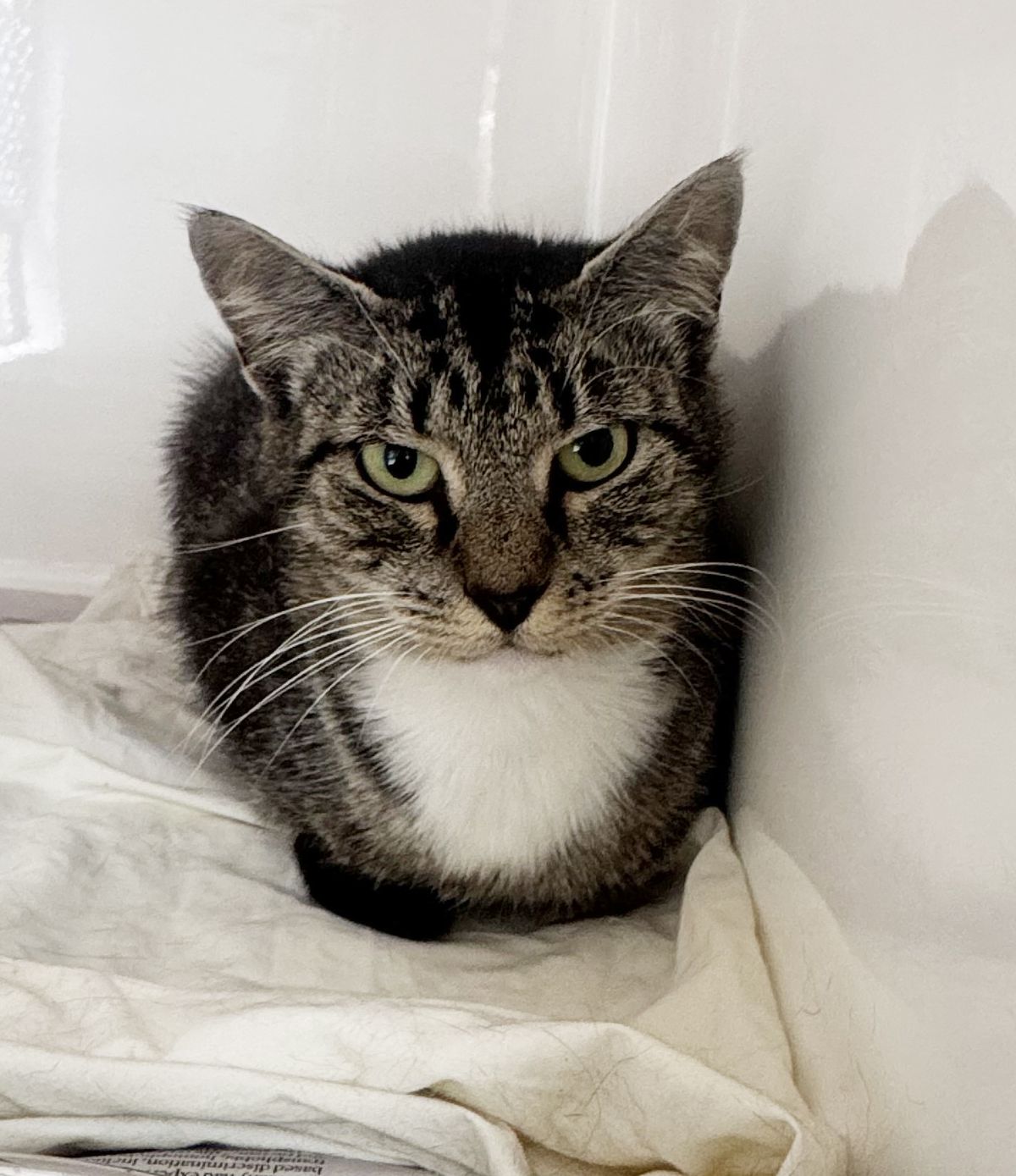 Gallery image: Rihanna