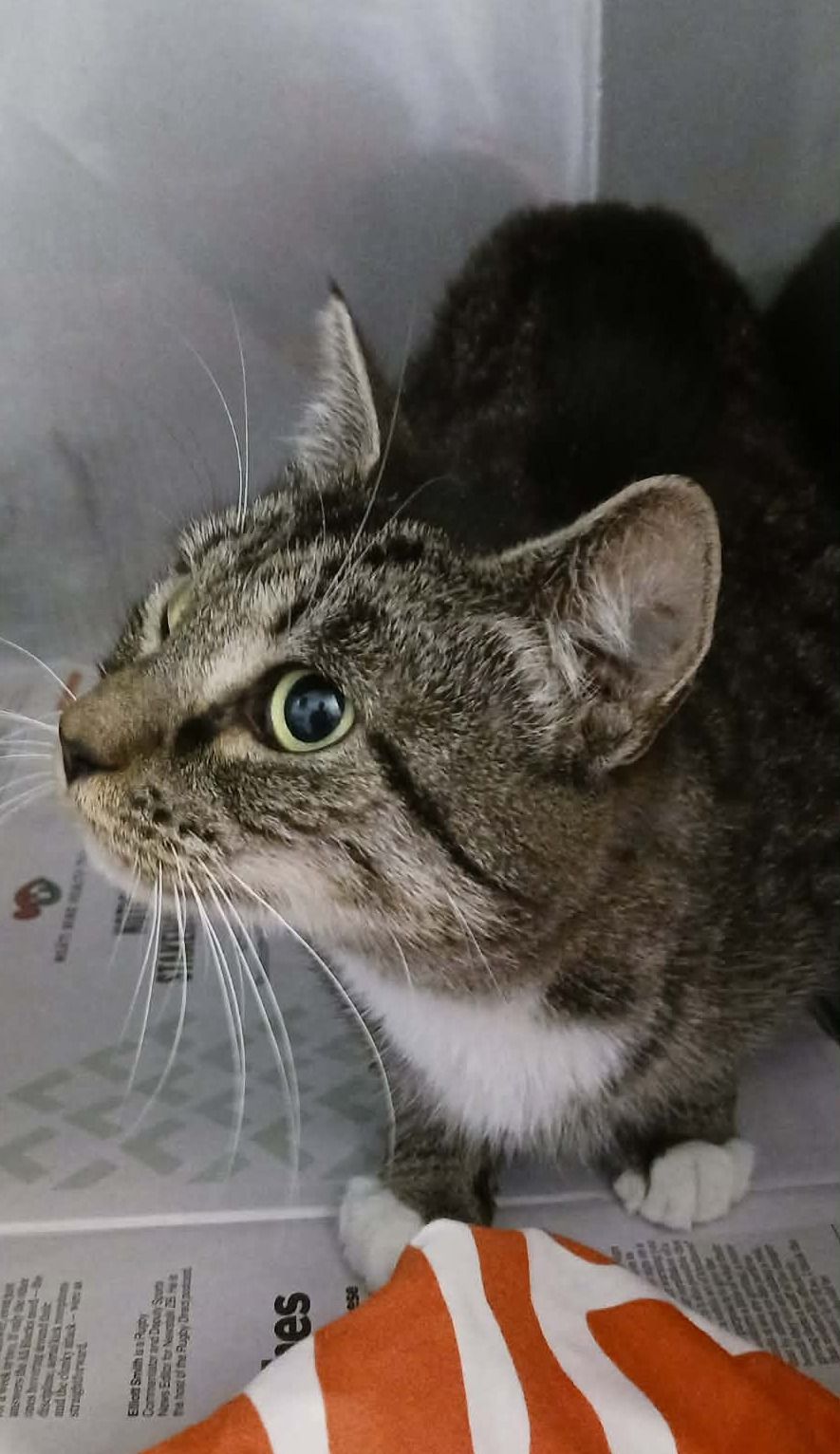 Gallery image: Rihanna