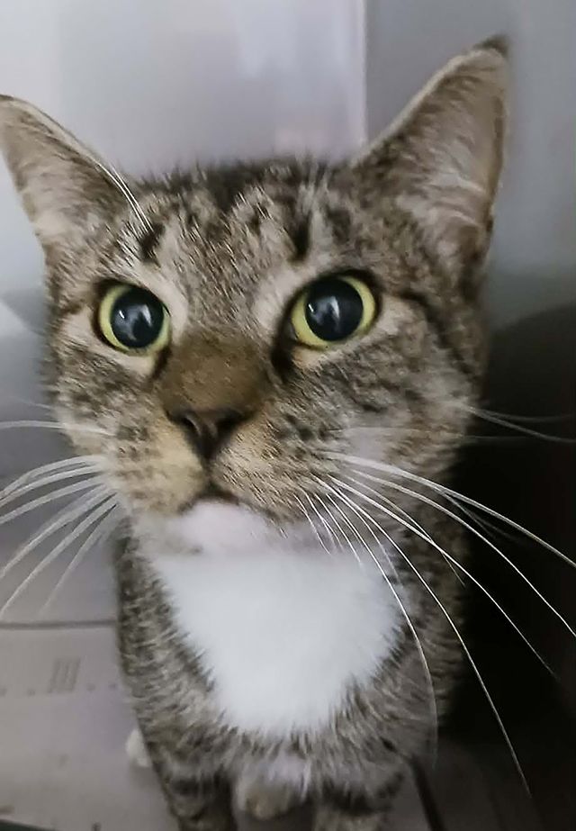 Gallery image: Rihanna