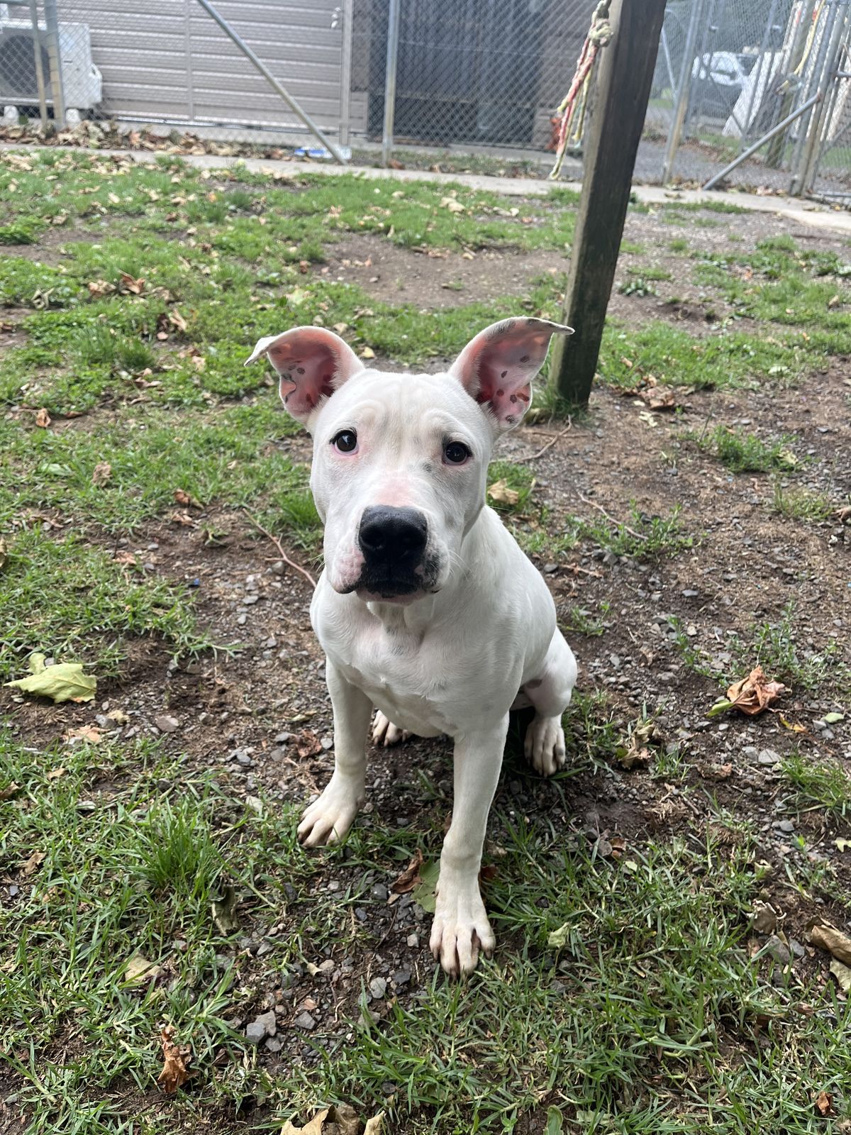 Gallery image: Cookie