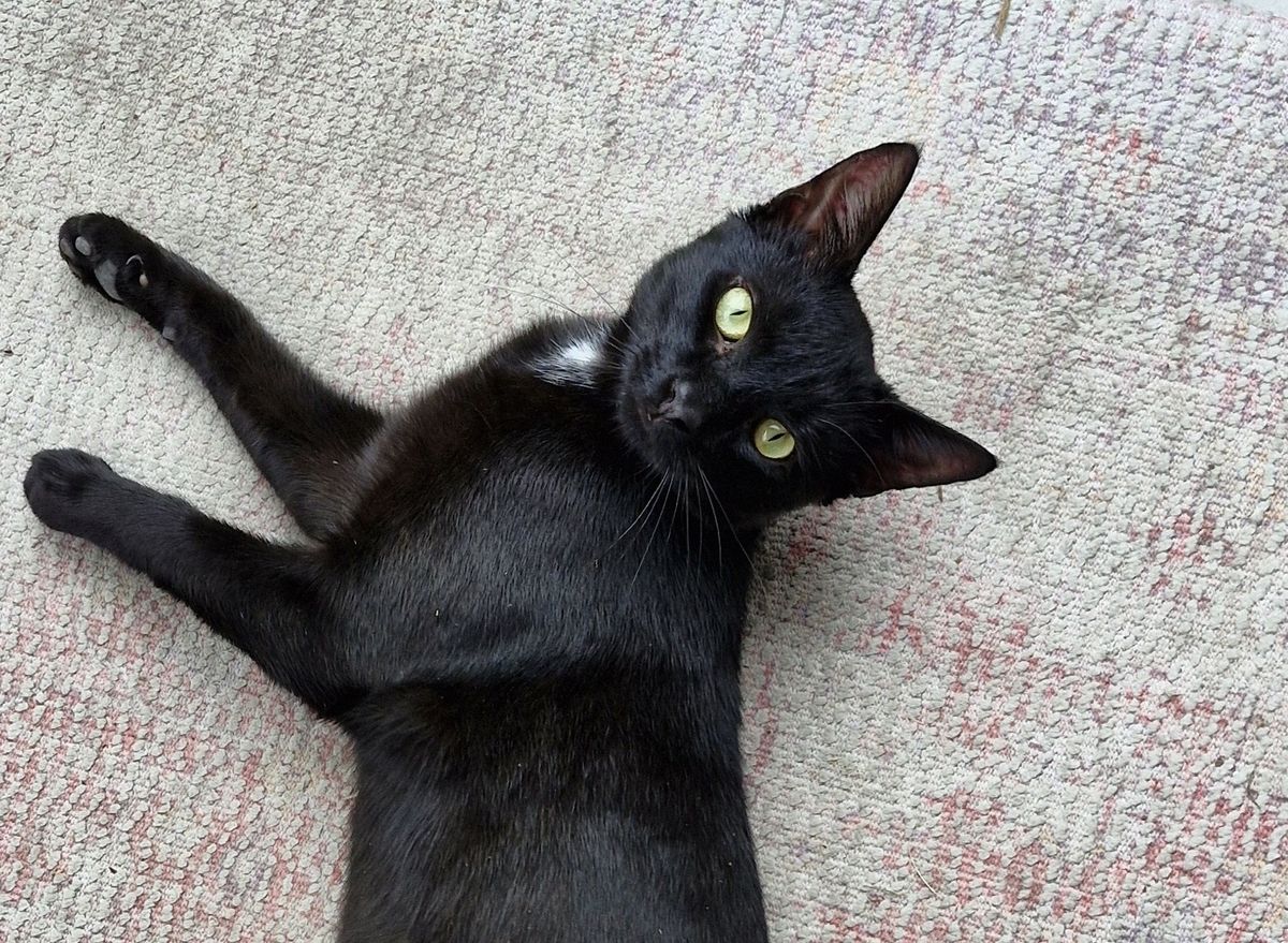 Gallery image: Cheese