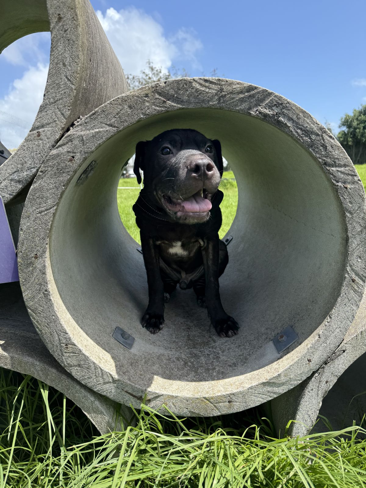 Gallery image: Cosmo