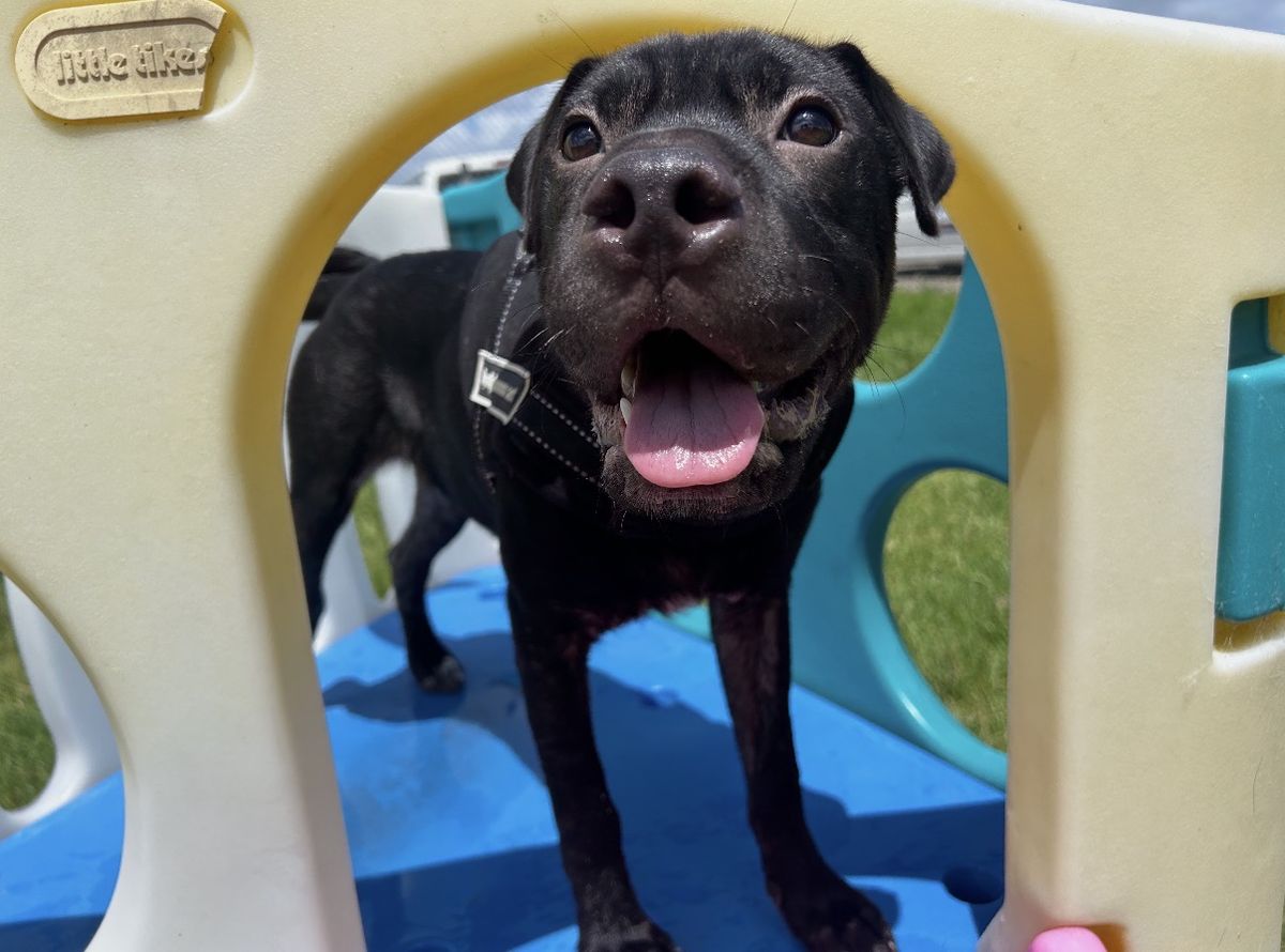 Gallery image: Cosmo