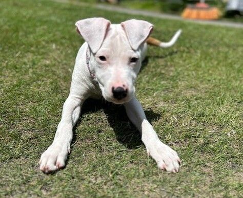 Gallery image: Timmy