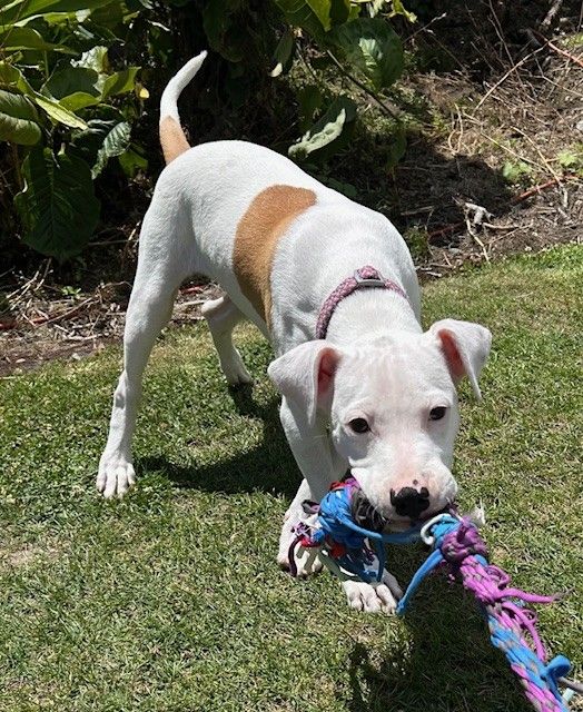 Gallery image: Timmy