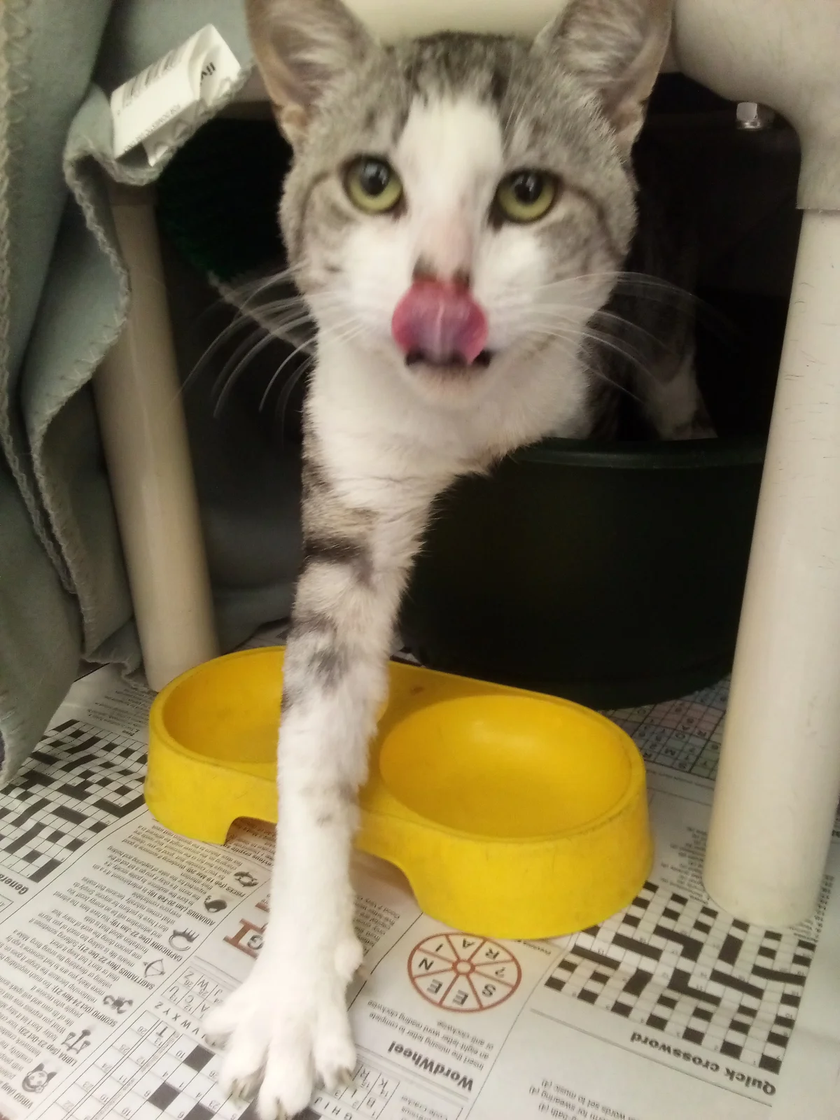 Gallery image: Slim Shady