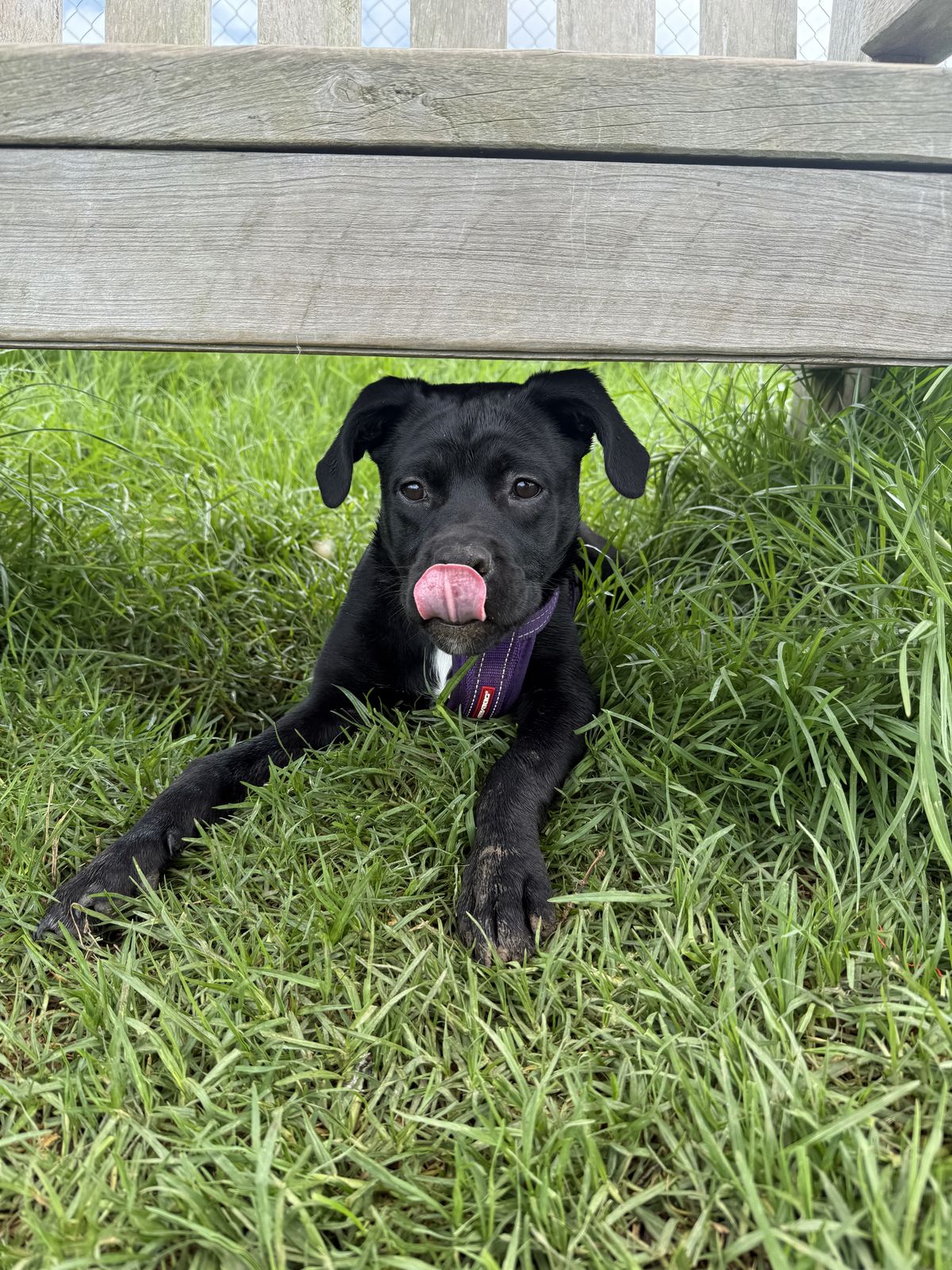 Gallery image: Charlotte