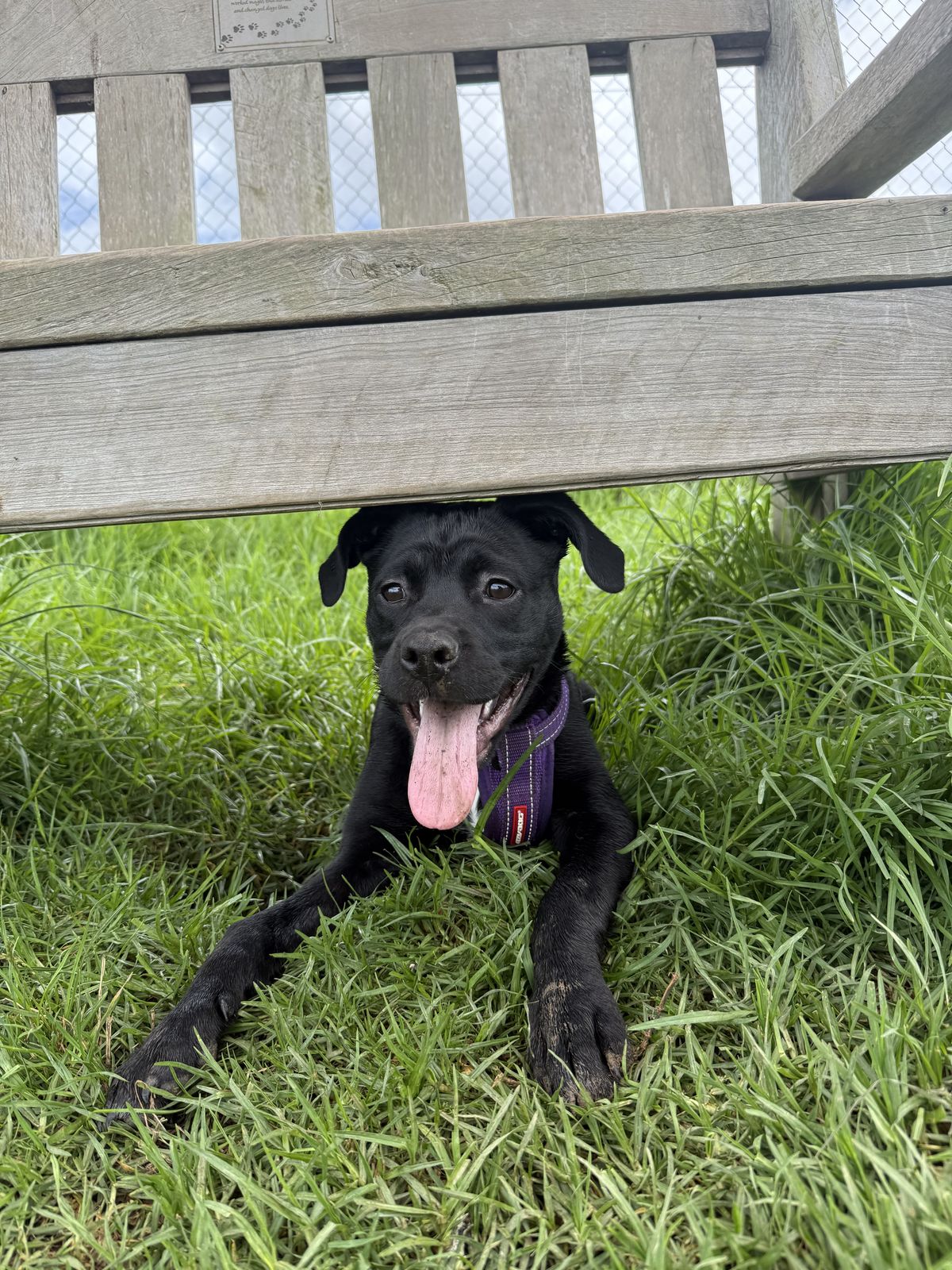 Gallery image: Charlotte