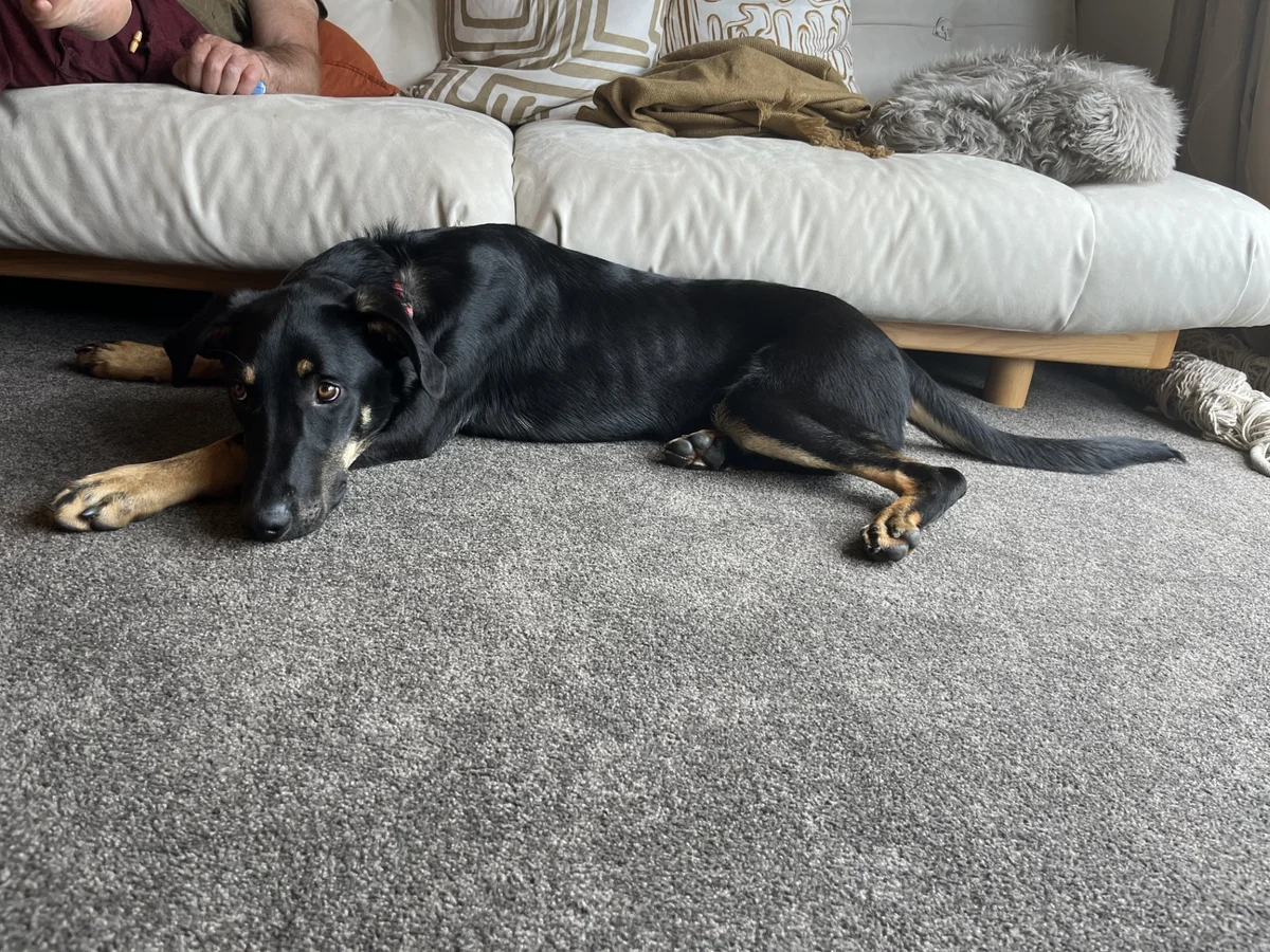 Gallery image: Tanggol