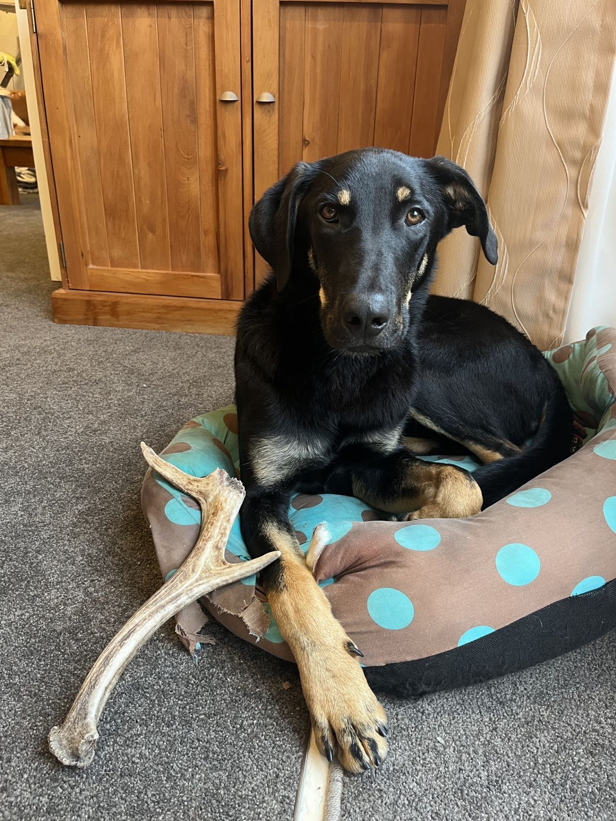 Gallery image: Tanggol