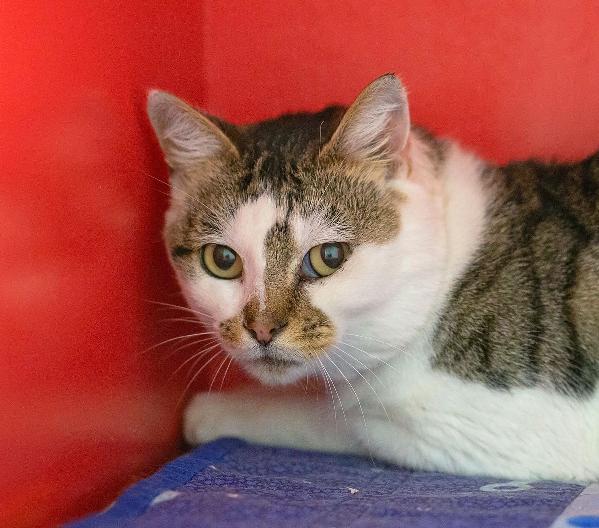 Gallery image: Samuel