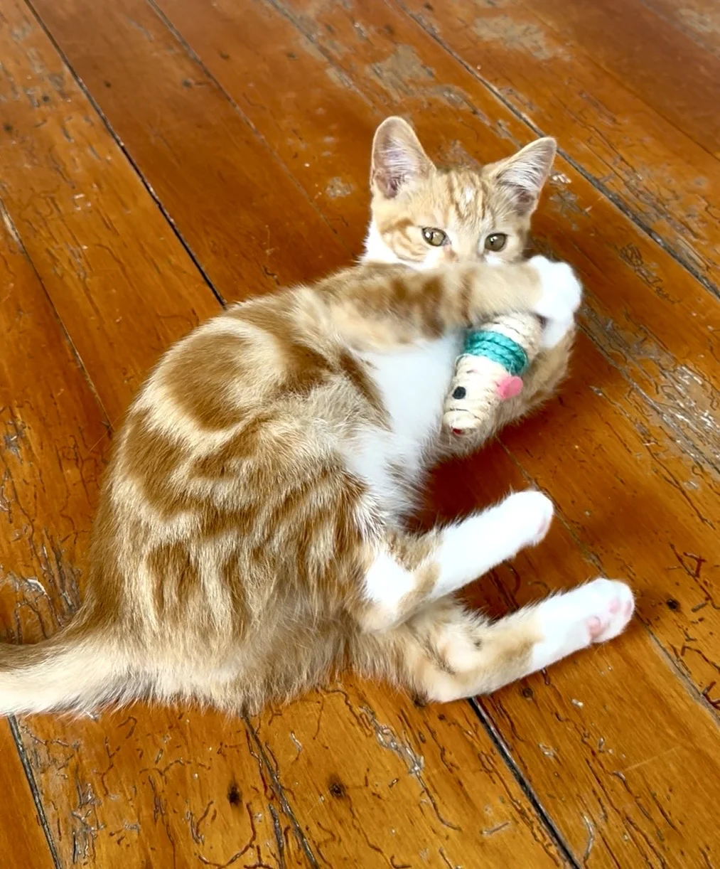 Gallery image: Max Mayfield