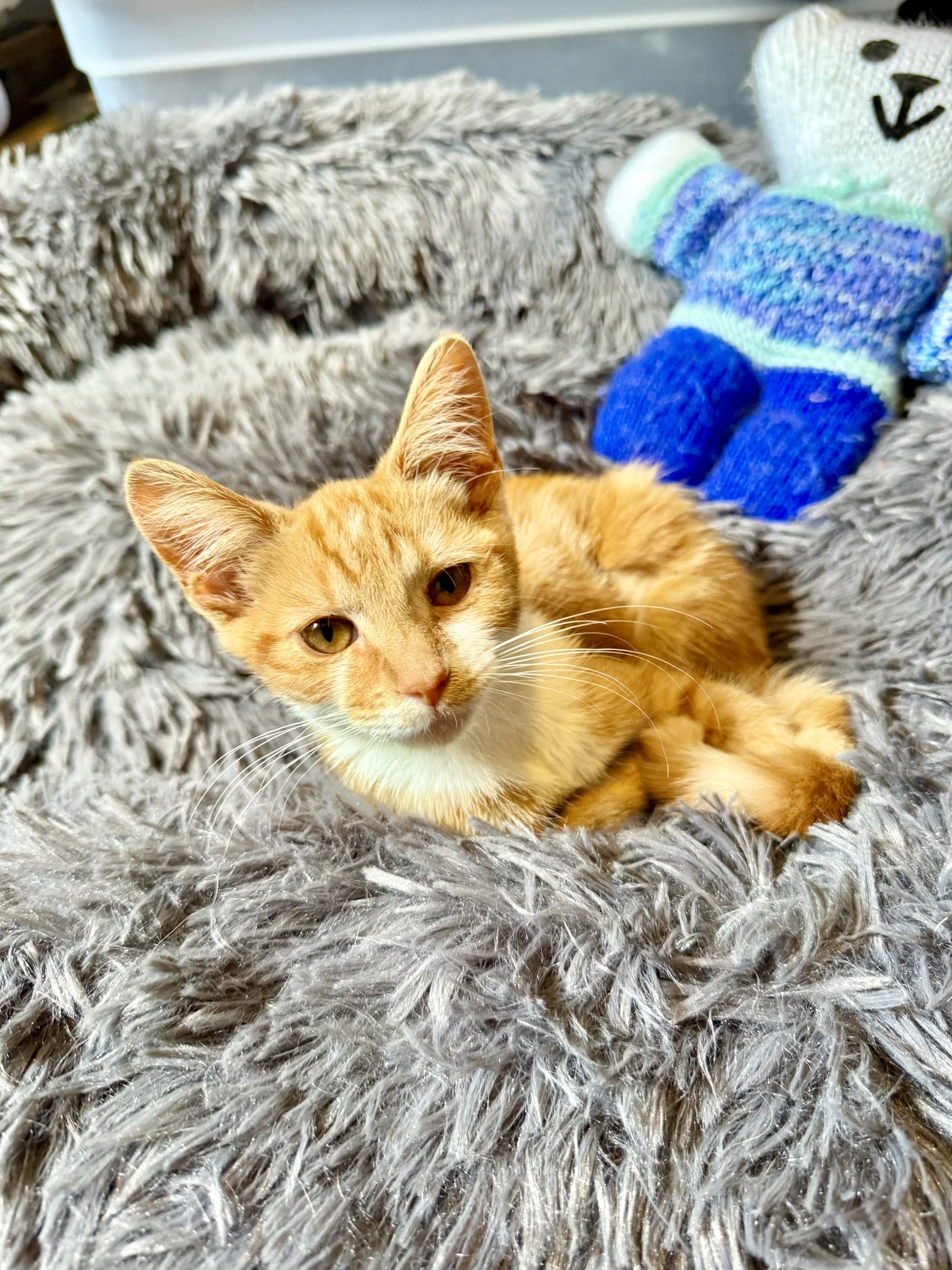 Gallery image: Max Mayfield