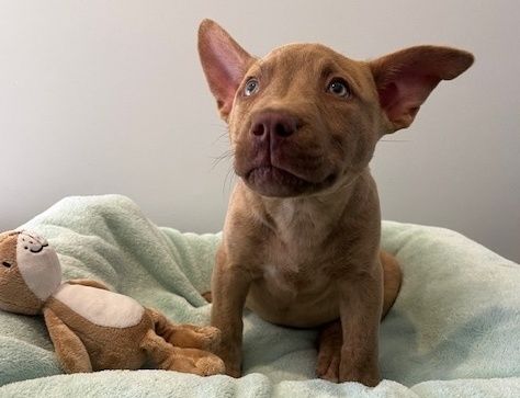 Gallery image: Lilly