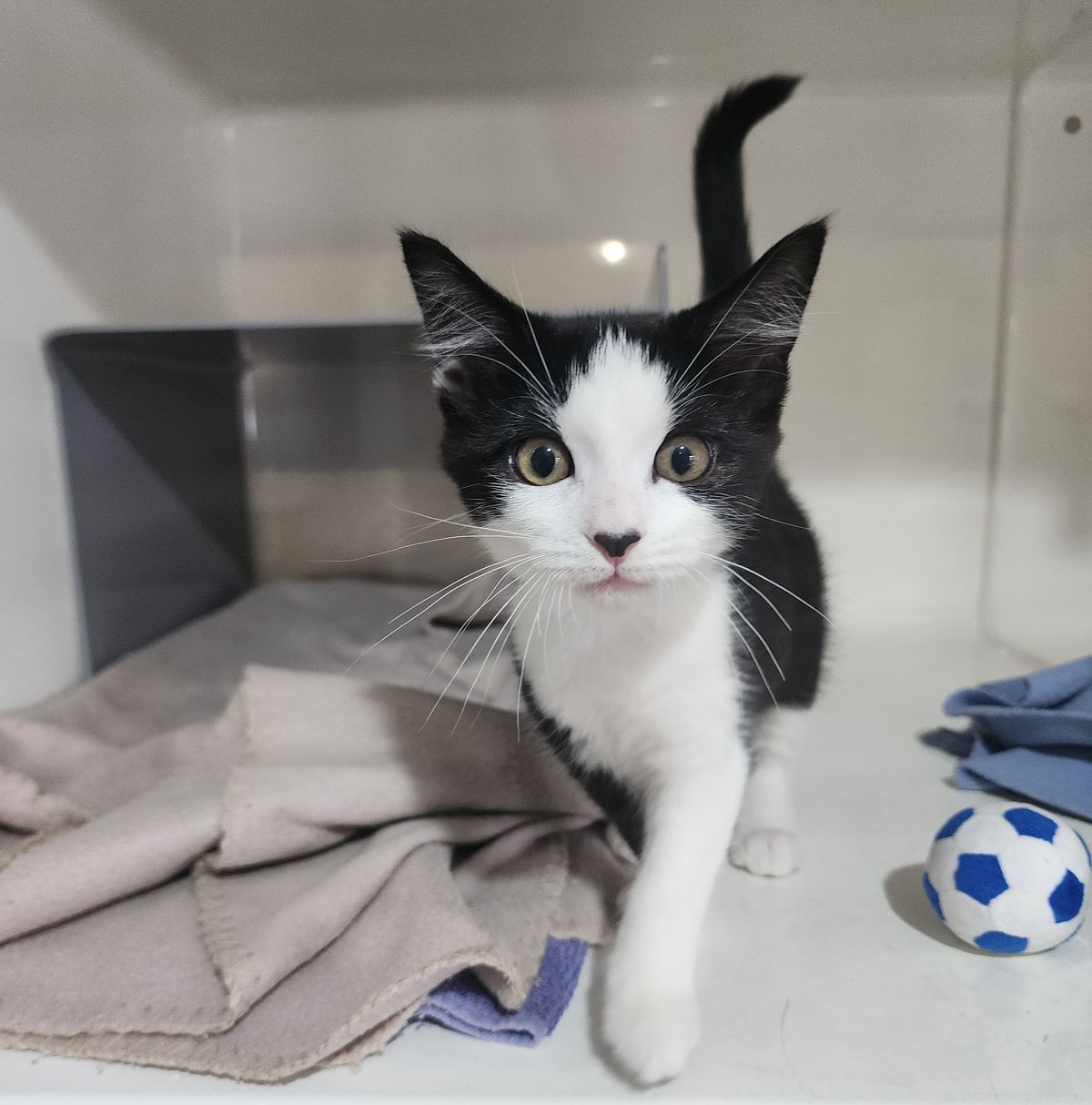 Gallery image: Ursula