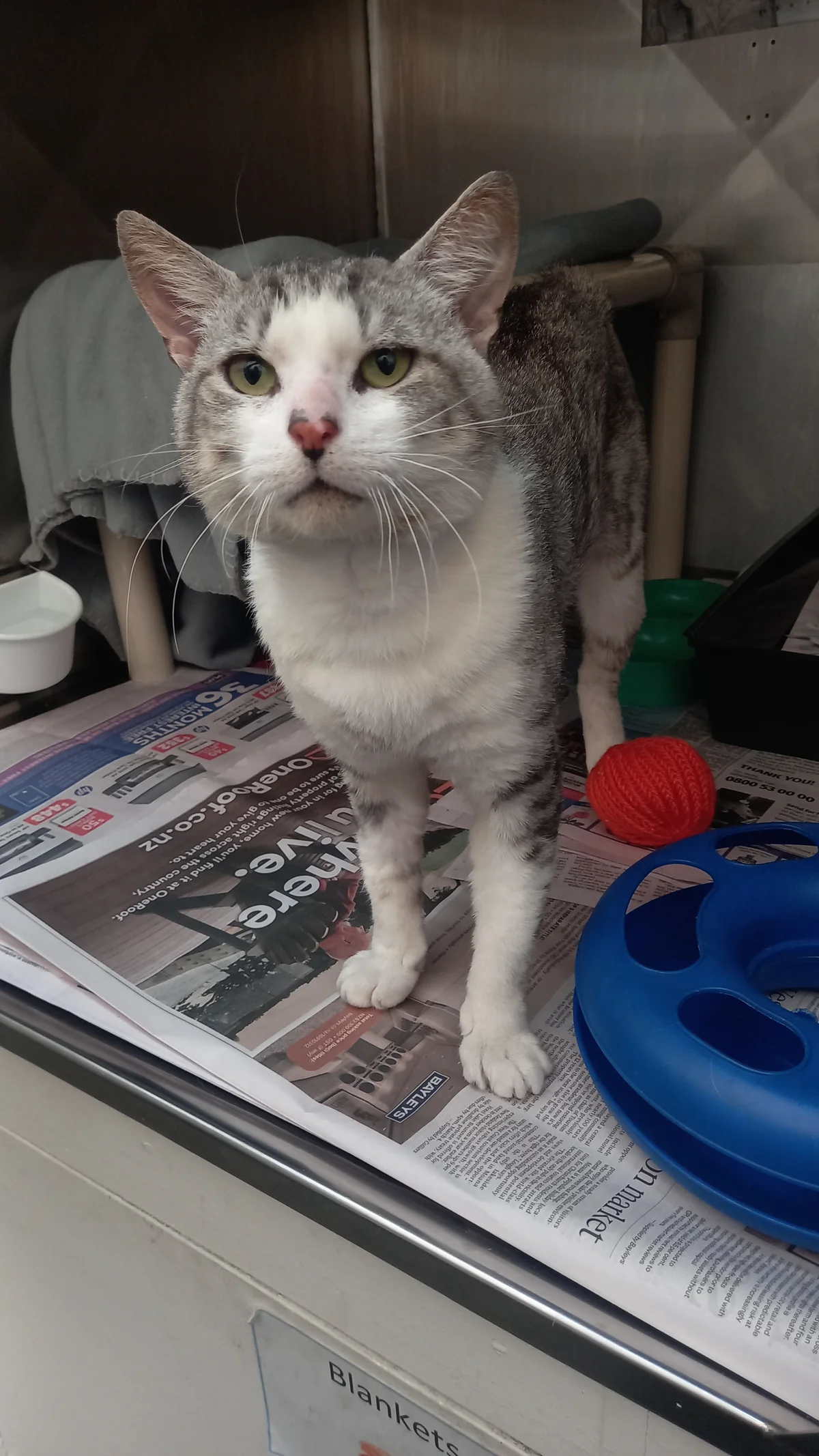 Gallery image: Slim Shady