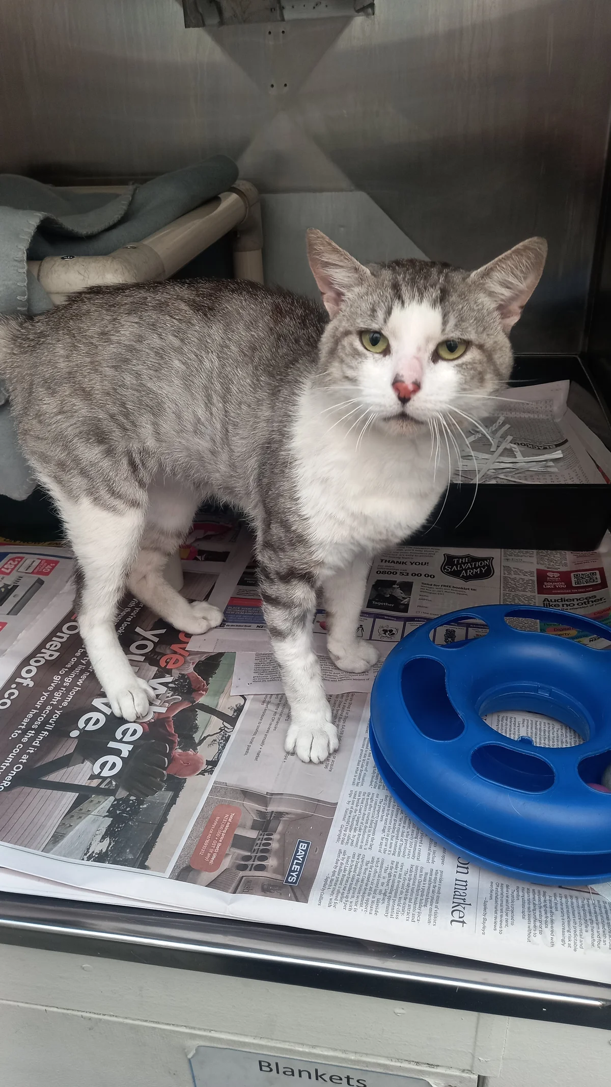 Gallery image: Slim Shady