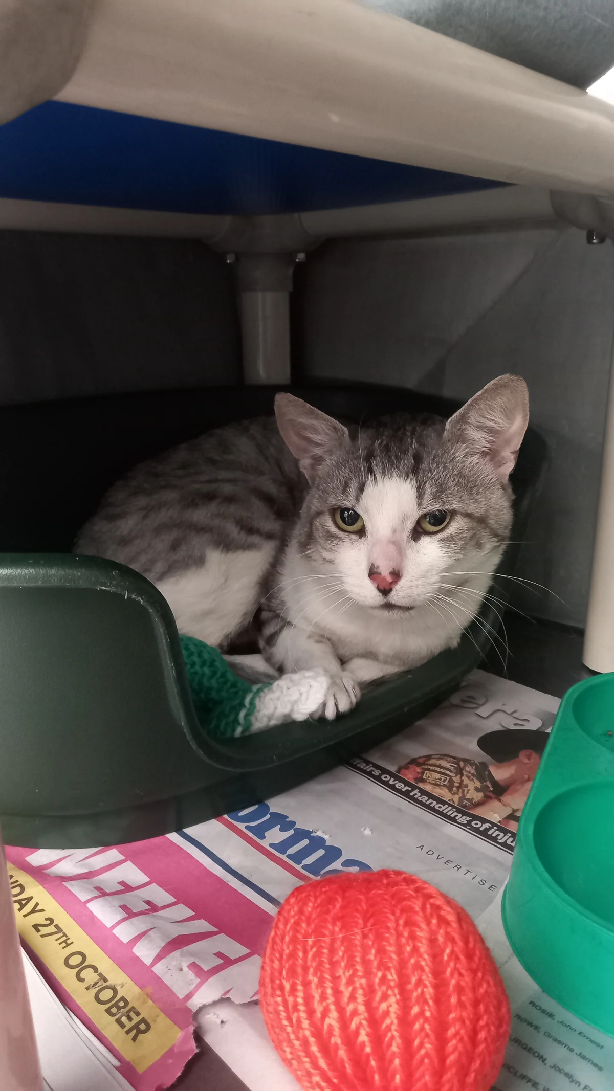 Gallery image: Slim Shady