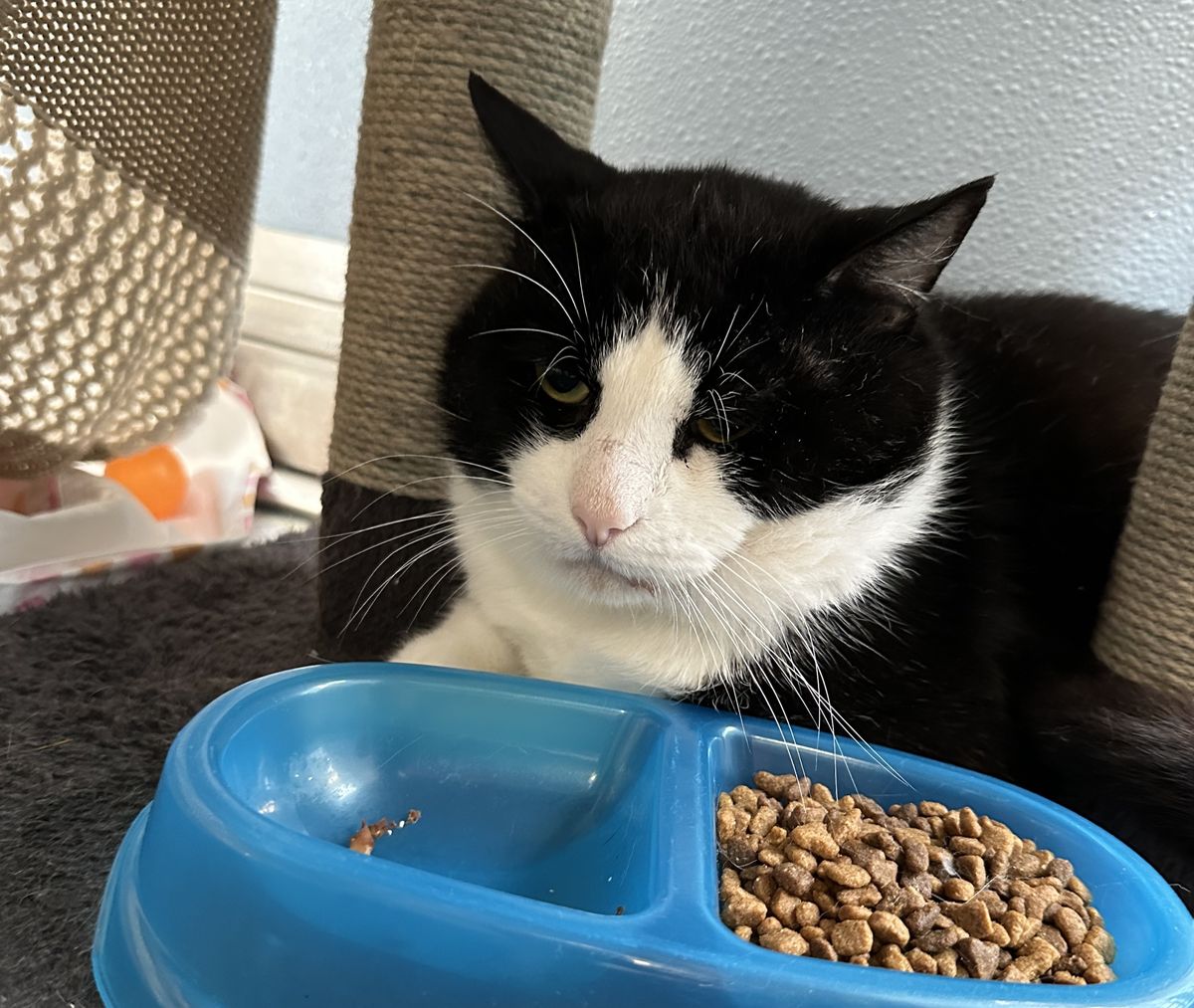 Gallery image: Rumble