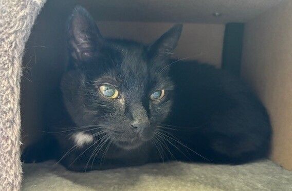 Gallery image: Big Tony