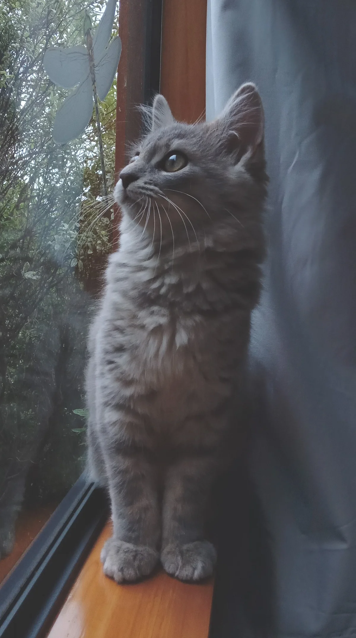 Gallery image: Reggie